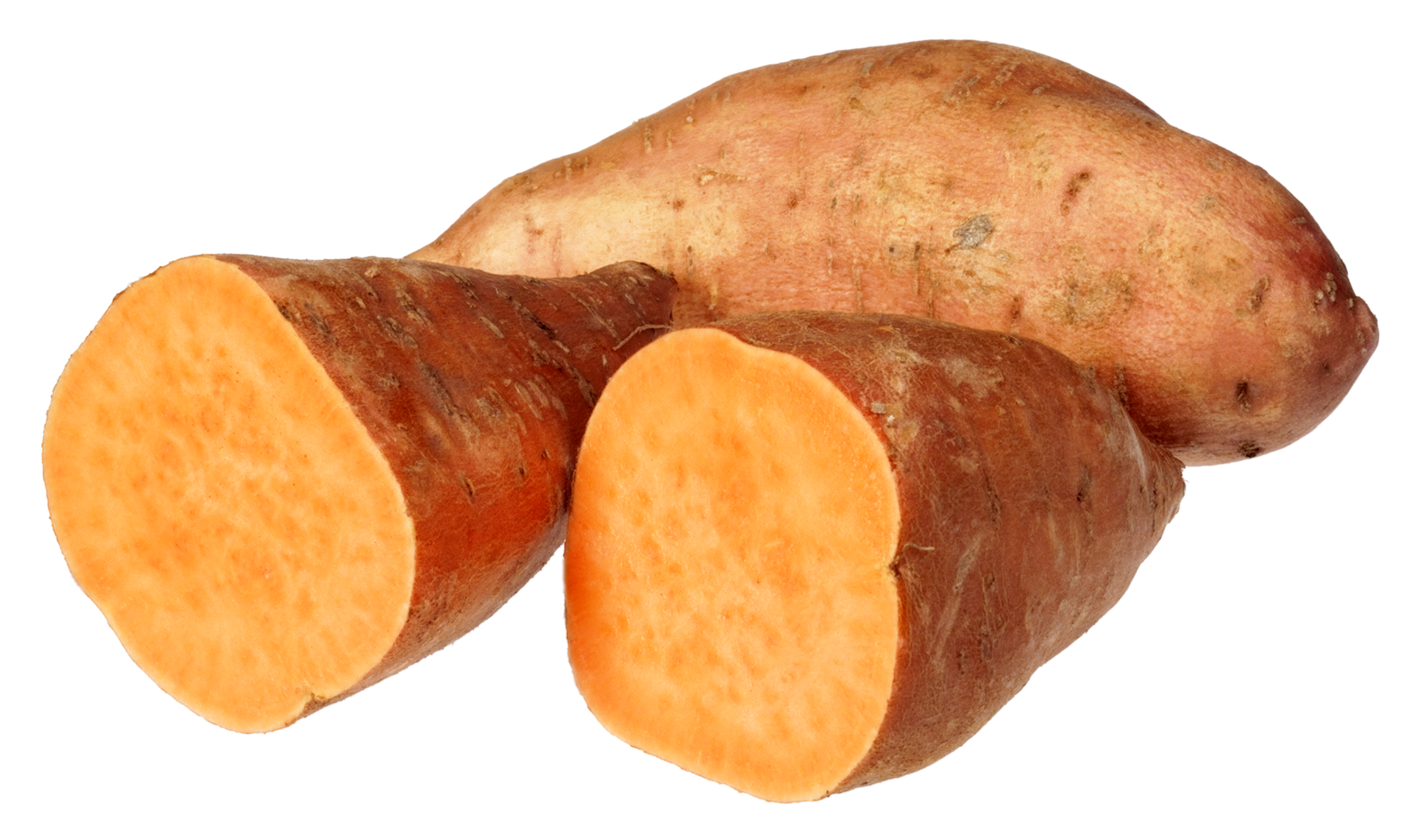 Jewel Sweet Potato